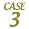 CASE3